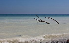 Am Ostseegarten